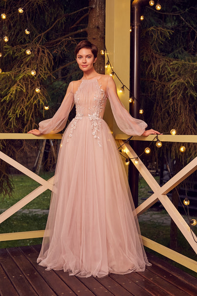 Long Prom Dress with Sheer Long Sleeves EU40 / Photo