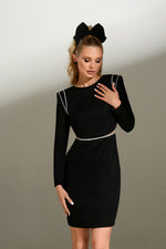 Long Sleeve Mini Dress
