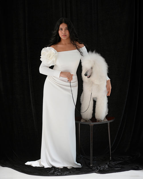 Robe de mariée minimaliste à manches longues et épaules dénudées avec détail d'épaule en rose 3D 