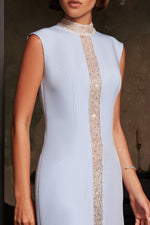 Exquisite High Neck Occasion Dress