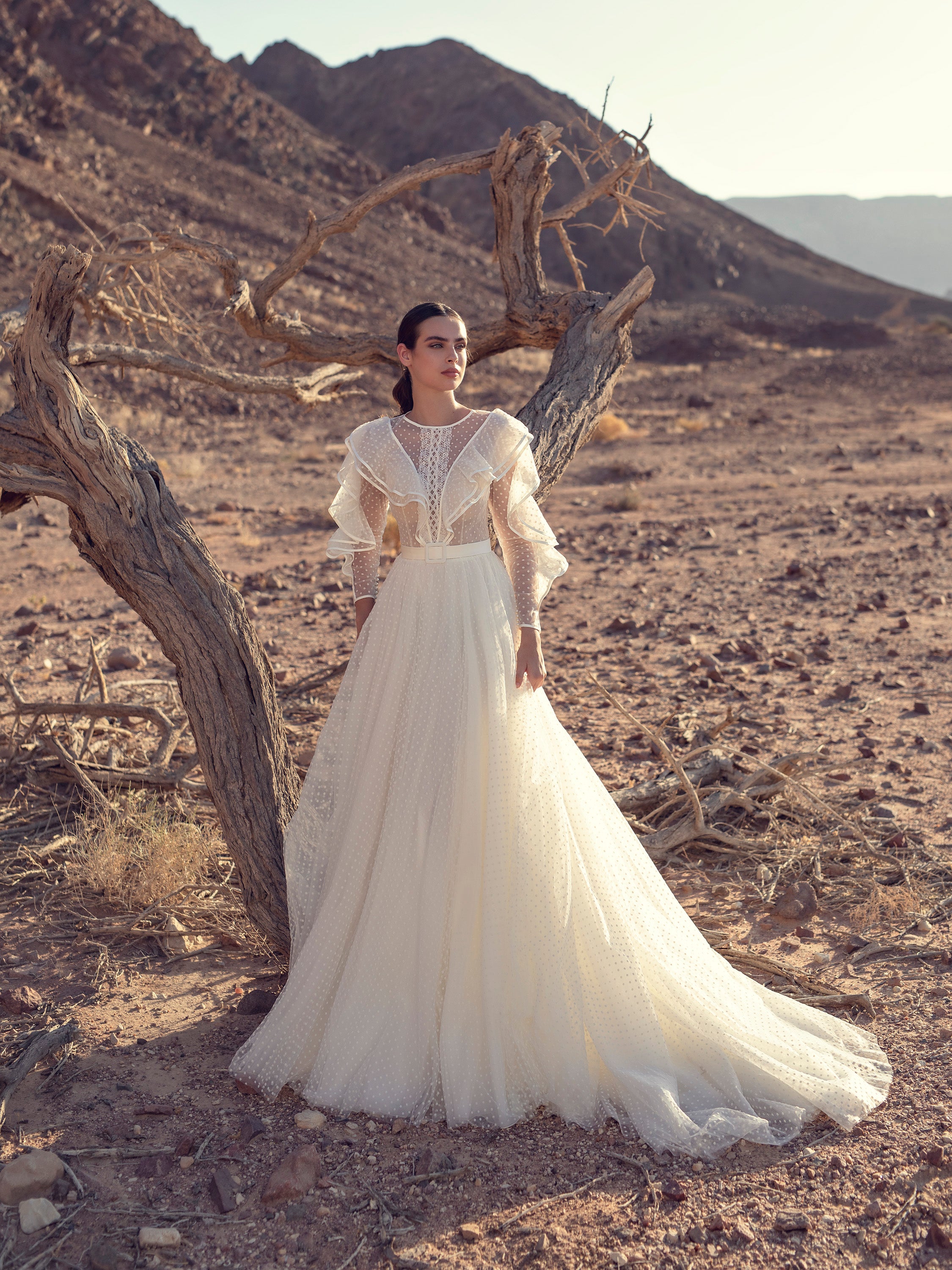 polka dot long sleeve wedding dress Polka Dots Ball Gown Sweetheart Detachable Puff Sleeves Wedding Dress, MW1100